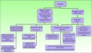 Algorithm for histopathology in cases of alopecia. Adapted from Harries and coworkers27 and Hermes and coworkers.29 PAS refers to periodic acid-Schiff.