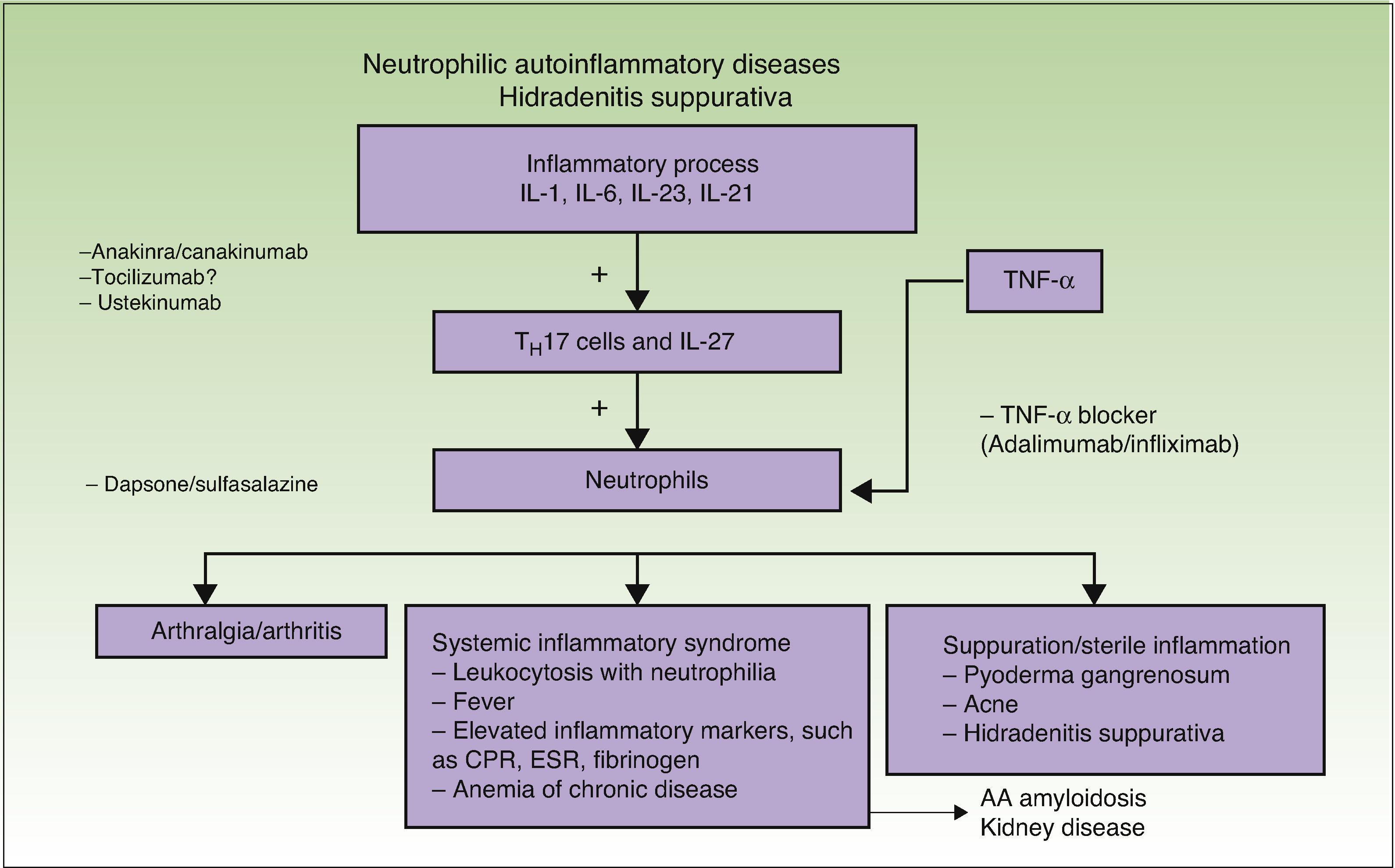 azulfidine antibiotic 300mg