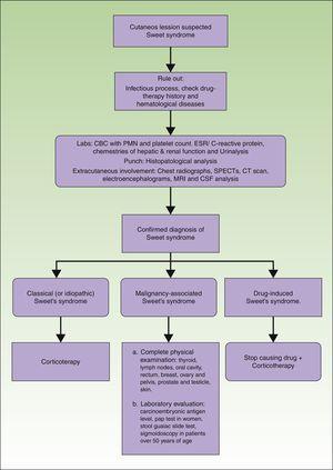 Recommendations algorithm for the initial workup in newly diagnosed Sweet's syndrome patients.