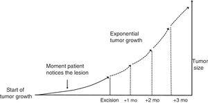 Theoretical exponential growth model for skin tumors.