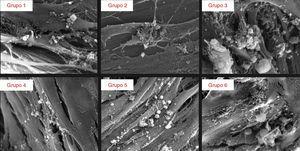 Imagens obtidas por MEV, em grande ampliação (2.000×), da camada celular presente na superfície dos 6 grupos de implantes no dia 28 de cultura.