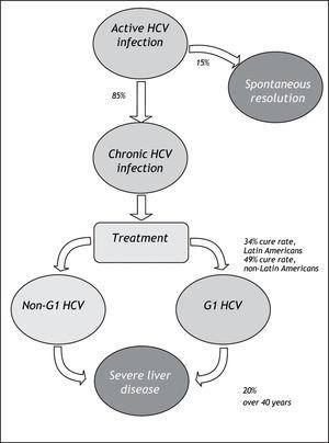 A model of the progression of HCV infection. G1: genotype 1; HCV: hepatitis C virus.