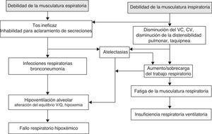 Fisiopatología respiratoria en el paciente con enfermedad neuromuscular.