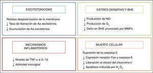 Efecto de la hipotermia sobre los mecanismos de daño. Aa: aminoácidos; BHE: barrera hematoencefálica; H2O2: peróxido de hidrógeno; IL-1β: interleucina 1β; MMP: metaloproteasas de la matriz; NO.: óxido nítrico; O2–.: anión superóxido; TNF-α: factor de necrosis tumoral α.