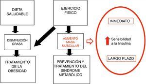 Mecanismos de la AF en la prevención y tratamiento de la obesidad. Modificado de Brambilla et al.14.