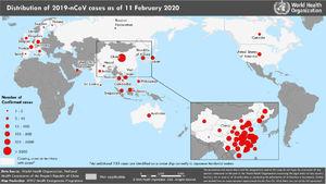 Países, territorios y áreas con casos confirmados de infección COVID-19, 11 de febrero de 2020. Fuente: OMS (https://www.who.int/emergencies/diseases/novel-coronavirus-2019/situation-reports).