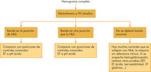 Estudio de variantes estructurales de hemoglobina.