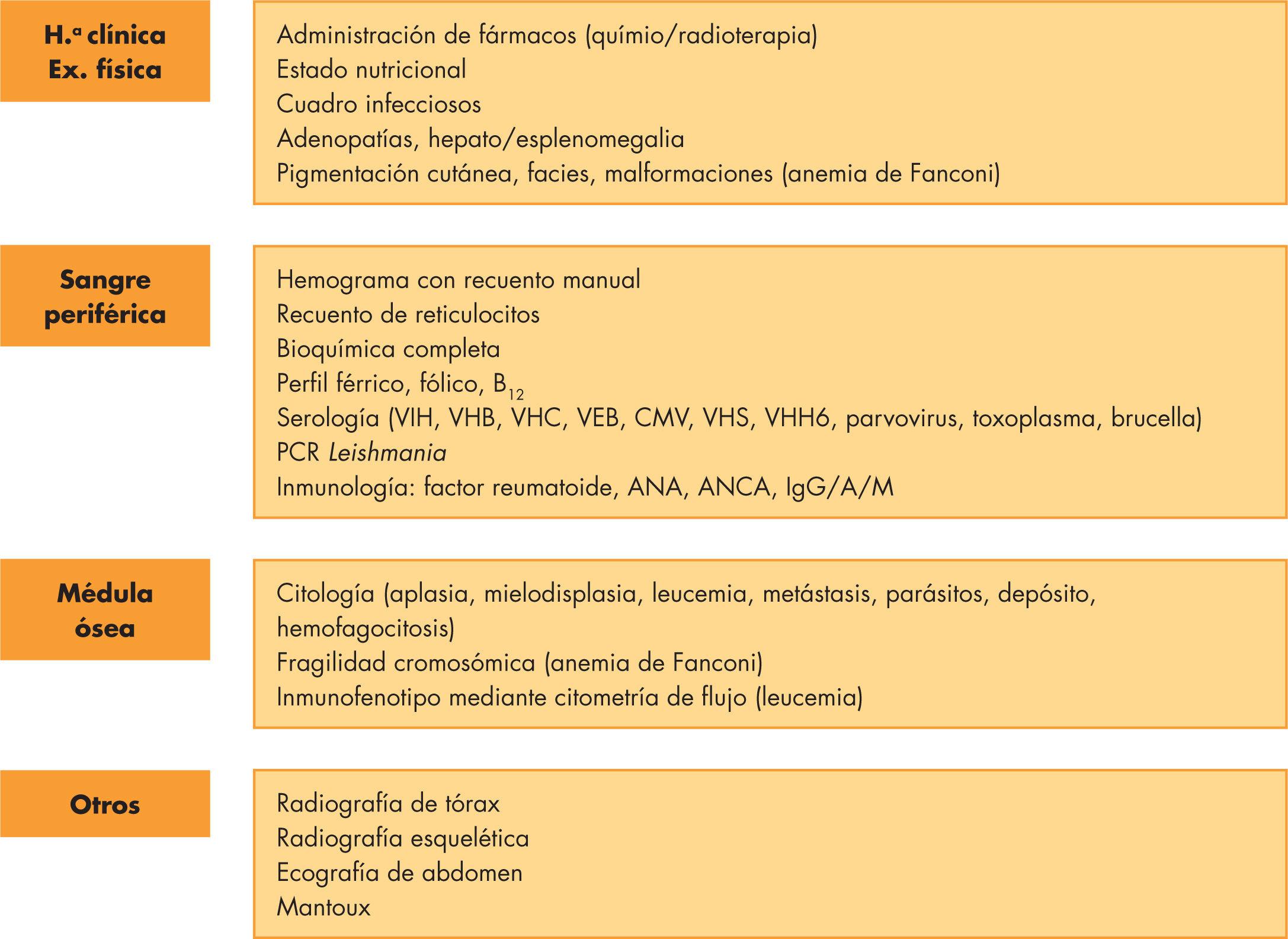 lago Amargura Claraboya Pancitopenia: valoración clínica y diagnóstica | Anales de Pediatría  Continuada