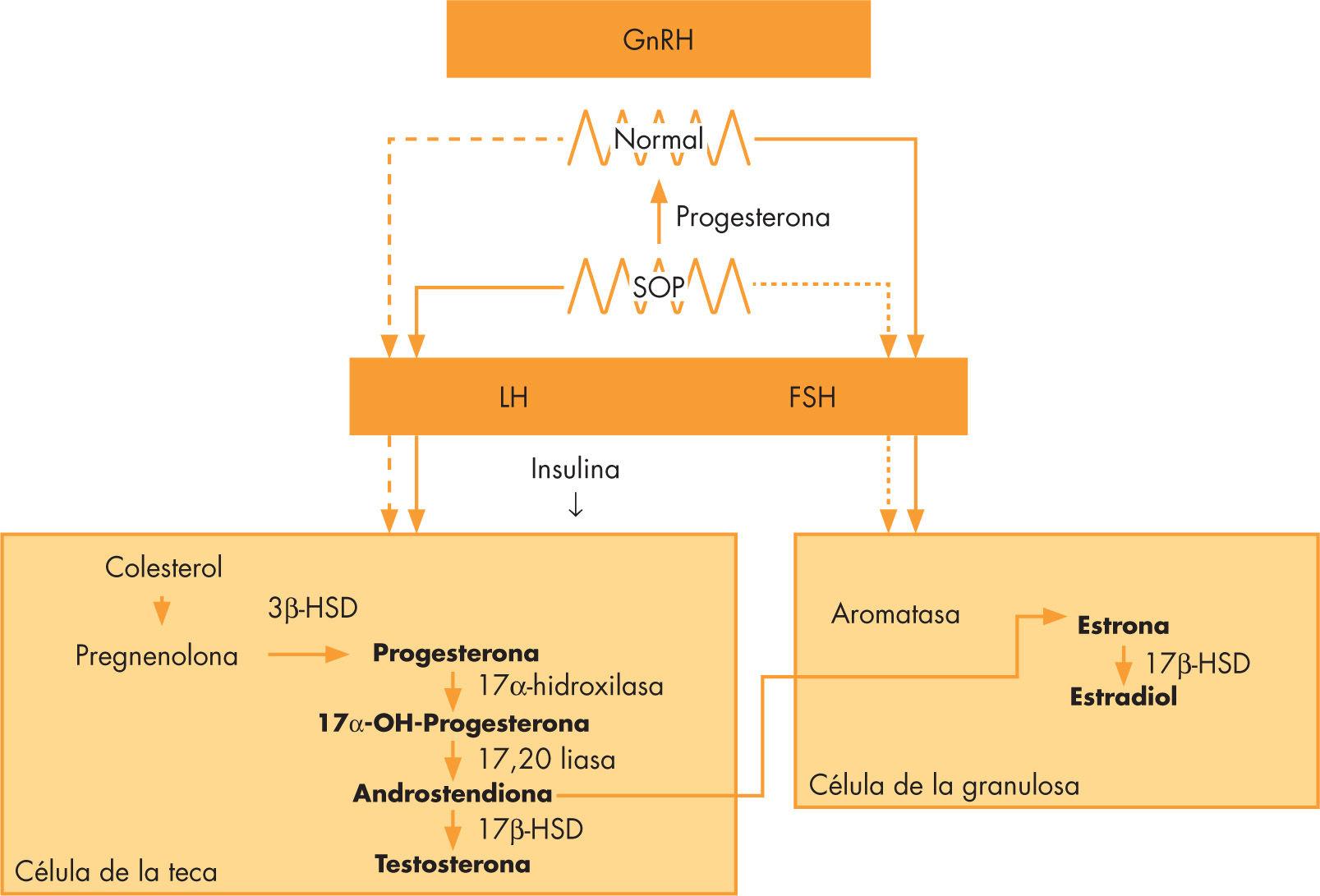 metformin online pcos