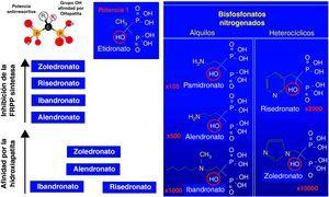 Las diferencias moleculares entre los aminobisfosfonatos les confiere distinta afinidad por la hidroxiapatita y diferente potencia antirresortiva.