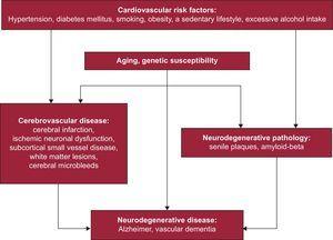 Relationship between cardiovascular disease and neurodegenerative disease.