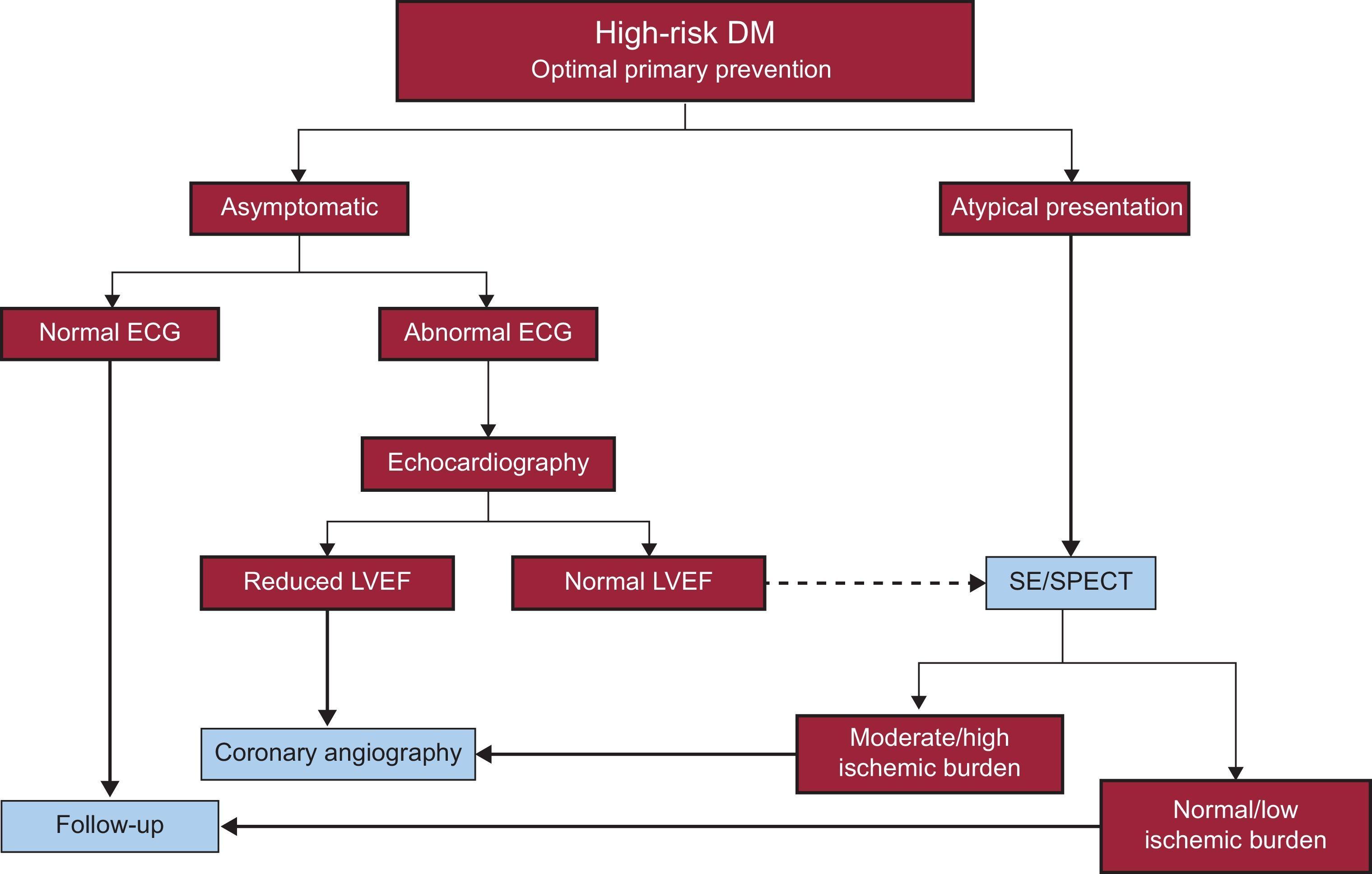 Echocardiographic evaluation in type 1 diabetes mellitus