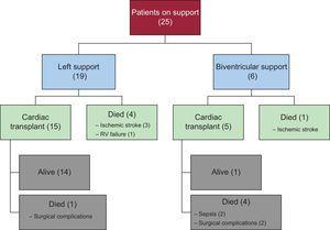 Progression of patients through the study, according to left or biventricular support. RV, right ventricular.