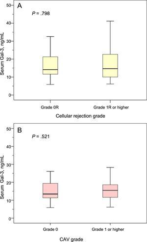 Gal-3 serum levels according to cellular rejection grade and CAV grade. A: Gal-3 serum levels in patients with and without cellular rejection grade 1R or higher at the 1-year posttransplant clinical visit. B: Gal-3 serum levels in patients with and without CAV of grade ≥ 1 at the 1-year posttransplant clinical visit. CAV, coronary allograft vasculopathy; Gal-3, galectin-3.
