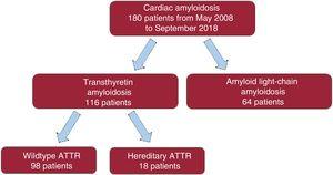 Classification of patients with cardiac amyloidosis according to subtype. ATTR, transthyretin amyloidosis.