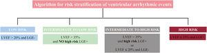 Algorithm for risk stratification of ventricular arrhythmia in nonischemic cardiomyopathy. The presence of epicardial, transmural or septal plus free-wall late gadolinium enhancement (LGE) was identified as high-risk LGE+. The remaining patterns were considered as NO high-risk LGE+. LVEF, left ventricular ejection fraction.