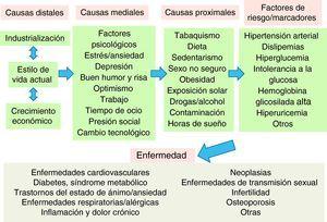 Jerarquía de causalidad de las enfermedades crónicas. Fuente: adaptada y ampliada de Egger et al7.