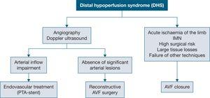 Distal hypoperfusion syndrome. AVF, arteriovenous fistula; IMN, ischaemic monomelic neuropathy; PTA, percutaneous transluminal angioplasty.