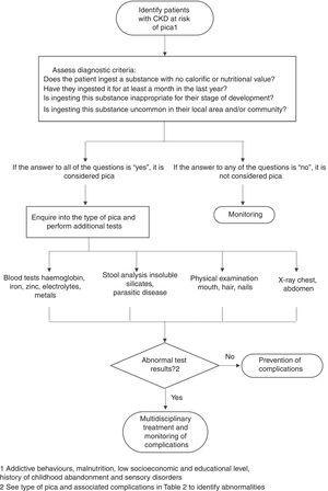 Algorithm for the diagnosis of pica. Adapted from: American Psychiatric Association,11 Woywodt and Kiss,12 Waller and Pendergrass.13