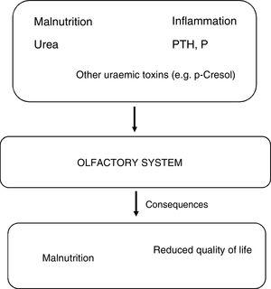 Causes and consequences of olfactory system involvement in patients with chronic kidney disease.