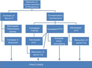 Diagram of the known causes that implicate phosphorus as a cause of fracture.