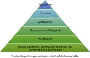 Treatment algorithm: polymedicated patient with high comorbidity.