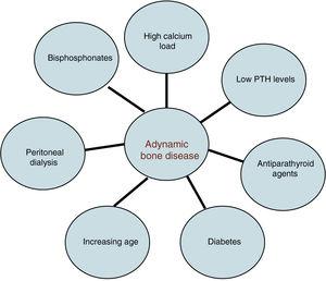 Risk factors for adynamic bone disease.