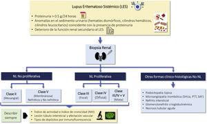 Diagnosis of kidney injury in SLE. Figure adapted from: Parikh SV, Almaani S, Brodsky S, Rovin BH. Update in lupus nephritis: Core Curriculum 2020. Am J Kidney Dis. 2020;76:265−81. SLE: systemic lupus erythematosus; NIH: National Institute of Health, LN: nephritis lupus; PTT: purple thrombotic thrombocytopenic; APS: Antiphospholipid syndrome; aHUS: Hemolytic-uremic Syndrome atypical.