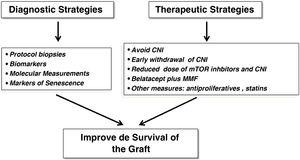 Diagnostic strategies and therapeutic measures aimed at improving renal transplant survival outcomes. CNI: calcineurin inhibitor drugs.