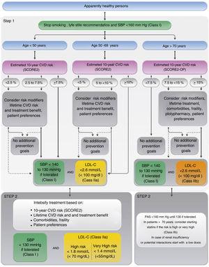 Vascular risk algorithm and therapeutic targets in apparently healthy patients. Adapted from Visseren et al.1 (Fig. 6, p. 26). CV, cardiovascular; C-LDL, low-density lipoprotein cholesterol; SBP, systolic blood pressure; SCORE2, Systematic Coronary Risk Estimation 2; SCORE2-OP, Systematic Coronary Risk Estimation 2-Older Persons.