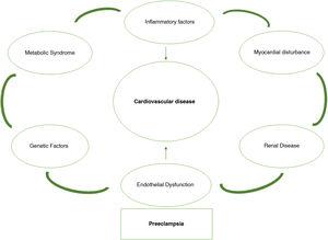 Common pathways for the development of preeclampsia and cardiovascular disease.