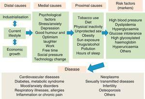 Hierarchy of causality of chronic diseases.