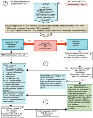 The Rational Life Support in Sepsis (RALSS) algorithm. This algorithm is based on the Surviving Sepsis Campaign (SSC) hour-1 bundle of care, as well as adapted to the institutional protocol and available resources. At time zero, clinician on charge should suggest verbally and share with other staff members the diagnosis (say sepsis), look for the source (and consider imaging studies), attach the monitor to the patient and obtain at least 2 blood and other cultures according to clinical suspicion (preferably before administration of broad-spectrum antibiotics) (box 1). Afterwards, administration of appropriate IV antibiotic(s) and the best strategy for control of sepsis source should be ensured (if a drainable focus of infection is present) (box 2). Sepsis without hypotension(box 3)or Sepsis and hypotension(box 4) pathway should be followed according to patient status. If hypotension is present, start resuscitation with IV fluids (30ml/kg) and re-measure lactate if initial value was >2mmol/L or if clinical deterioration exists although the initial lactate was ≤2mmol/L (box 5). If hypotension persists and lactate is >2mmol/L start vasopressors only in those patients who have received an initial resuscitation with IV fluids and are not considered to be hypovolemic (box 6 and box 7). In septic shock patients assess for fluid responsiveness and ask for an intensivist consultation (box 7). Continuous assessment of clinical and laboratory variables and control of focus of infection reassessment may be carried out to enhance initial resuscitation interventions (box 8). Complementary assessments may be requested, and institutional protocol activated. During all interventions continuous reassessment and ruling out of other sources of shock should be conducted (box 9). ID denotes Infectious Diseases, MAP mean arterial pressure, SAP systolic arterial pressure, DAP diastolic arterial pressure, ScVO2 central venous oxygen saturation, PCO2 Partial pressure of carbon dioxide, ICU intensive care unit. a Do not significantly delay antimicrobial therapy while awaiting for cultures or blood samples. Out-of-hospital approach should attempt to store baseline blood samples for rapid analysis at hospital admission. b Broad-spectrum antibiotics considering the likely etiology of infection, specific drug properties and increased extra-renal drug elimination during sepsis/septic shock, history of multidrug-resistant microorganisms, presence of acute kidney injury (±renal replacement therapies) or liver failure and presence of obesity.