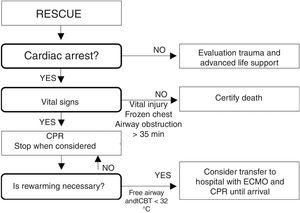 Triage and decision making algorithm for avalanche victims under conditions of cardiac arrest. Source: Modified from Kornhall DK, Martens-Nielsen J. The prehospital management of avalanche victims. J R Army Med Corps. 2016;162:406–412. doi:10.1136/jramc-2015-000441.52