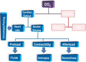 Factors conditioning the oxygen delivery (DO2) to tissues and interventions from hemodynamic perspectives. The right side of the figure is intentionally left in shadow as the focus of the review is not the approach from transfusion and ventilatory perspective. CaO2: arterial concentration of oxygen; Hb: hemoglobin; SaO2: saturation of oxygen.