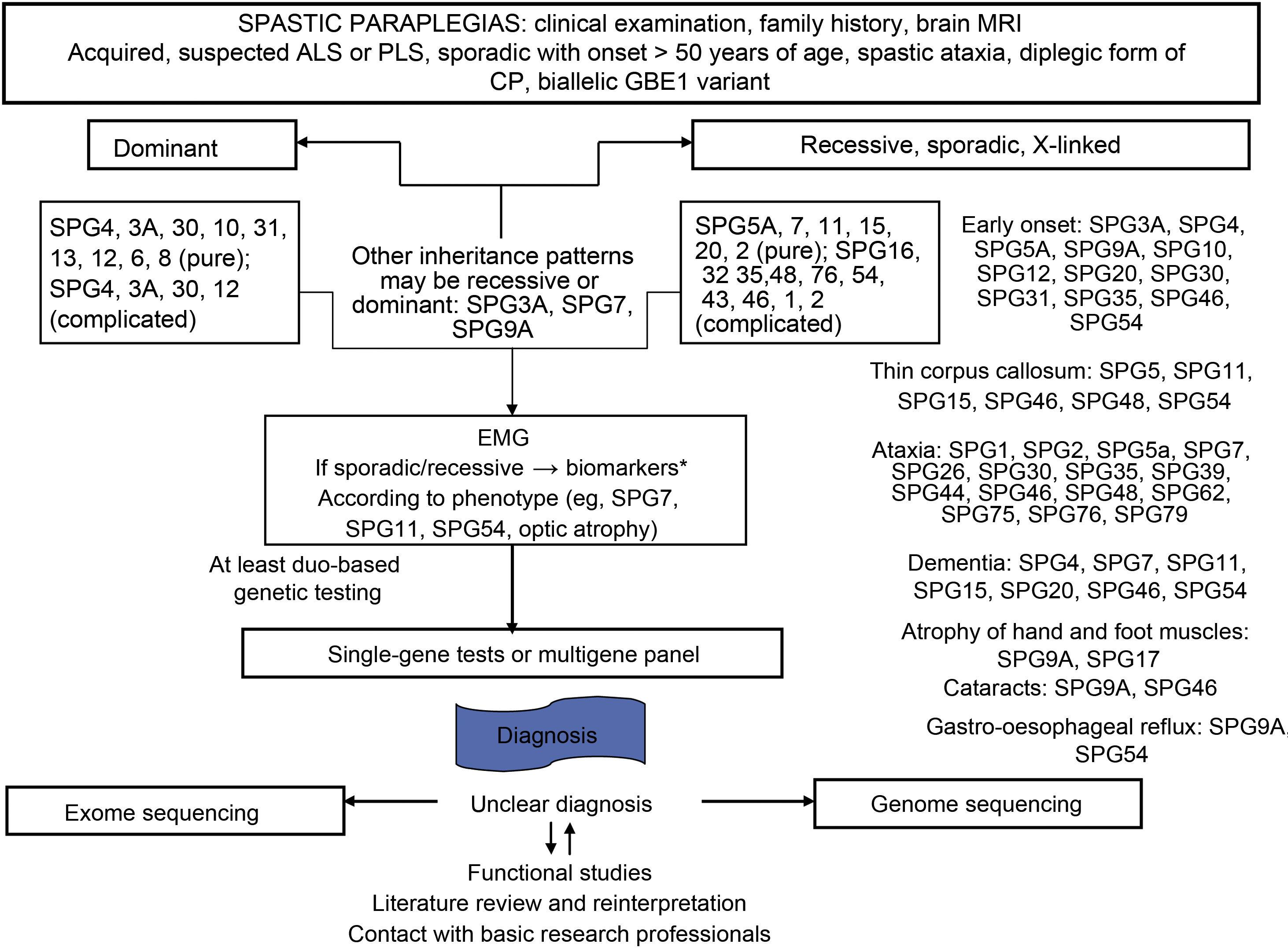 Proposed diagnostic algorithm for patients with suspected Niemann