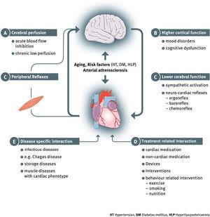A systematic overview of bidirectional heart and brain interaction in heart failure.Adapted from Doehner W et al. EJHF 20182.