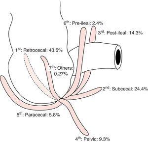 Positions of the vermiform appendix.