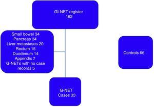 Patients included in the study. G-NETs: gastric neuroendocrine tumors; GI-NET: gastrointestinal neuroendocrine tumor.