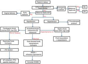 Diagnostic-therapeutic algorithm for SARS-CoV2 infection in the parturient. AF: amniotic fluid; ARDS: respiratory distress; CO: cardiac output; ECMO: extracorporeal oxygenation; GA: general anaesthesia; LV: left ventricle; PTE: pulmonary thromboembolism; RA: regional anaesthesia; RV: right ventricle; SVR: systemic vascular resistance.