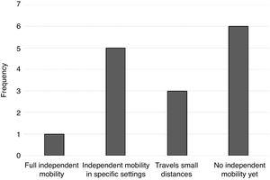 Degree of independent mobility of individuals with STXBP1 syndrome in the sample.