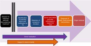 Stages of the process of controlled paediatric donation after circulatory death (adapted from Thuong et al.8).