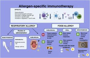 Allergen-specific immunotherapy (AIT). The figure presents the main clinical and immunological effects of AIT. It also shows the different routes of administration used to deliver AIT for treatment of both respiratory allergies and food allergies.