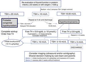 Testing algorithm for the evaluation of thyroid function in preterm neonates.
