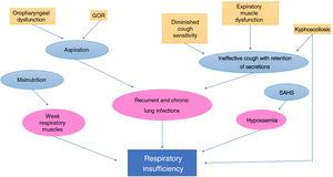 Factors involved in respiratory insufficiency in children with CP. GOR, gastro-oesophageal reflux; SAHS, sleep apnoea-hypopnoea syndrome.