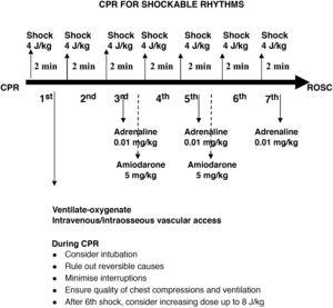 Advanced CPR algorithm, shockable rhythms.