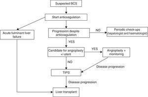 Diagnostic and therapeutic algorithm for patients with Budd–Chiari syndrome.