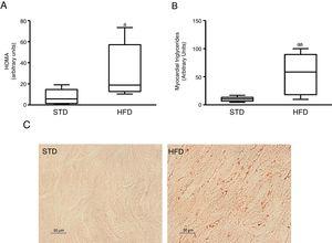 Insulin-resistant mice have increased myocardial lipid levels. The animals were fed a standard (STD) or high-fat (HFD) diet for 12 weeks. A) HOMA-insulin resistance index. B) Levels of myocardial triglycerides. C) Representative images of lipid staining by Oil Red O in hearts of mice fed with STD or HFD (For interpretation of the references to colour in this figure legend, the reader is referred to the web version of this article). Data are expressed as the median and interquartile range. *p<0.05. **p<0.01 vs. STD.