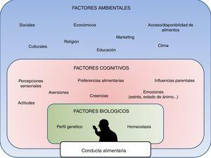 Principales determinantes de la conducta alimentaria, incluyendo factores biológicos internos, factores cognitivos personales y factores ambientales o externos.