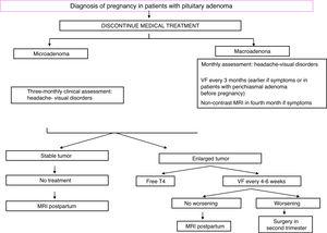 Algorithm for the management of pregnant women with acromegaly. VF: visual field.